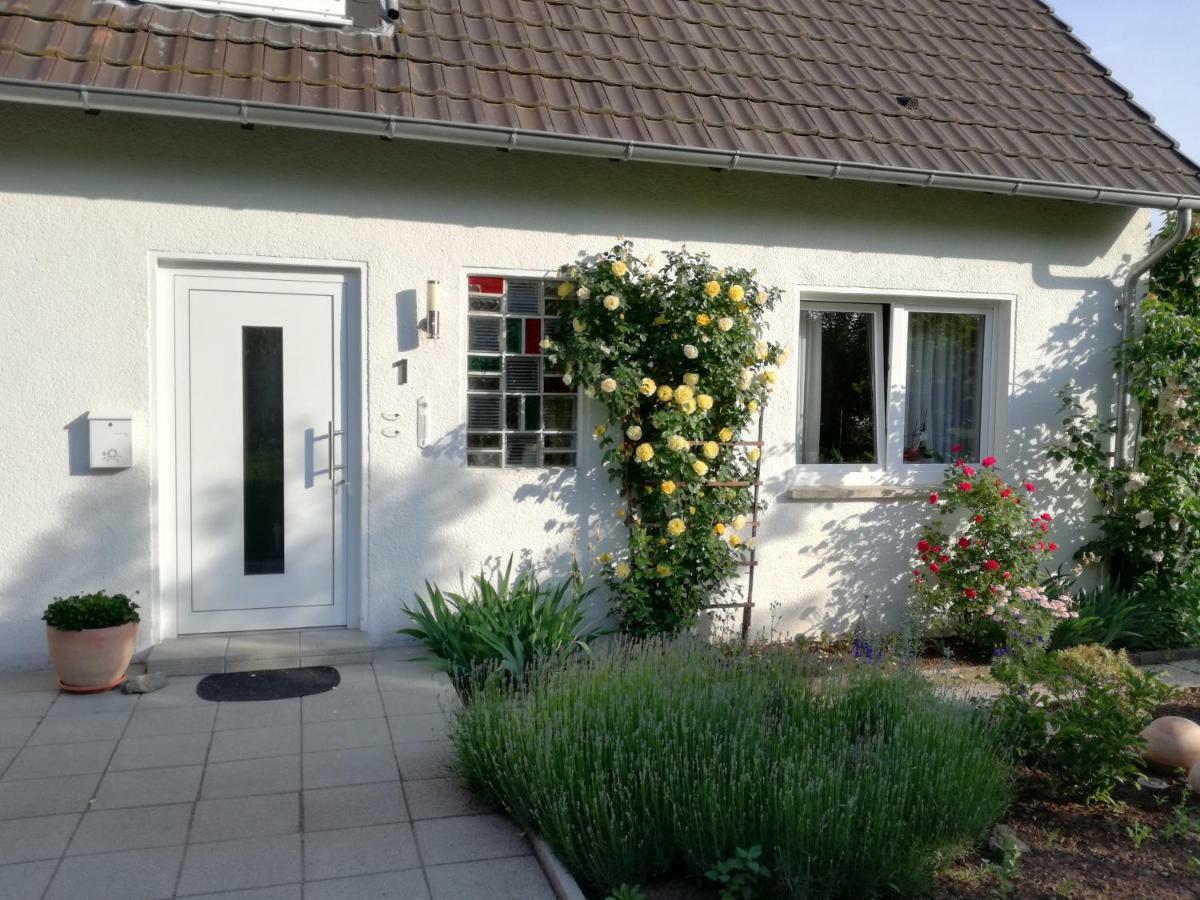 Ferien-Appartement Goldhausen Exteriör bild